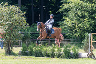 Goldene Schärpe 2021 - Ponys