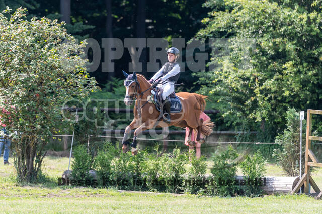 Goldene Schärpe 2021 - Ponys