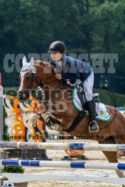 Goldene Schärpe 2021 - Ponys