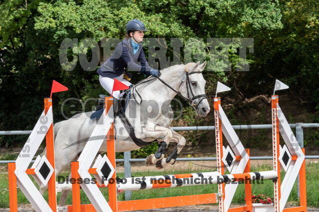 Late-Entry-Vielseitigkeit Langenfeld (06.+07.07.2020)