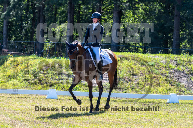 Kronenberg - De Peelbergen (August 2020)