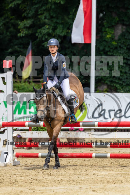 Goldene Schärpe 2021 - Ponys