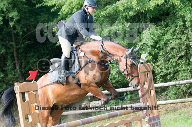 Vielseitigkeitsturnier ZRuFV von Lützow Hamminkeln