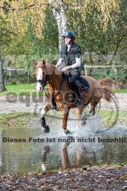 IGV Lehrgang der Sieger der Cups mit Frank Ostholt
