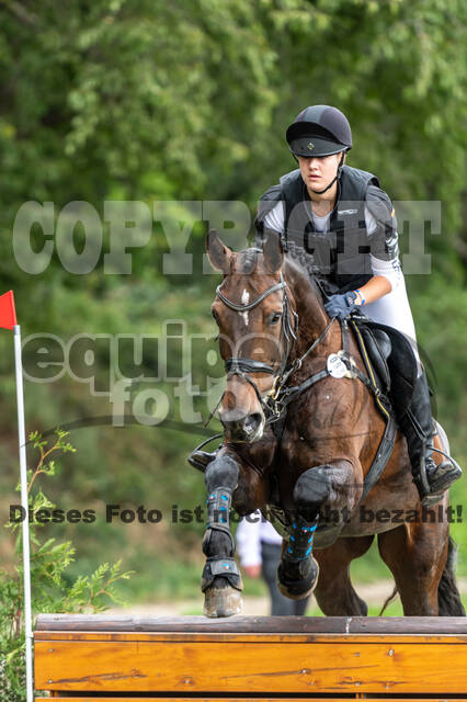 Late-Entry-Vielseitigkeit Langenfeld (06.+07.07.2020)