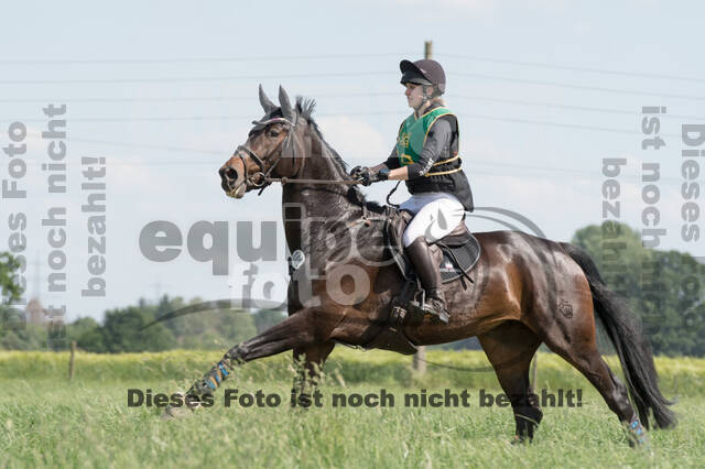 Vielseitigkeitsturnier ZRuFV von Lützow Hamminkeln