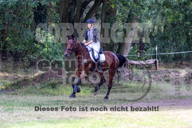 Late-Entry Vielseitigkeit Hamminkeln/Wesel (01.+02.08.2020)