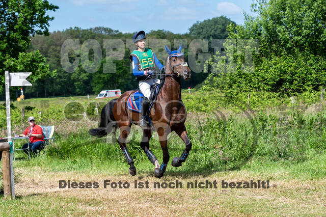 Westerstede Horse Trials (10.-13.06.2021)