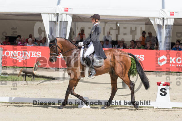 FEI European Championship Eventing 2017