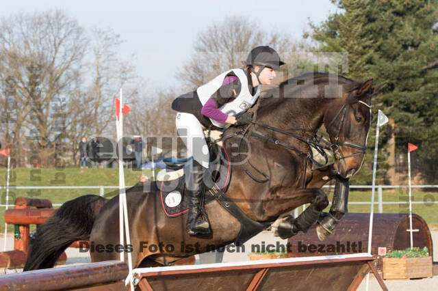 Eventing Langenfeld 2018