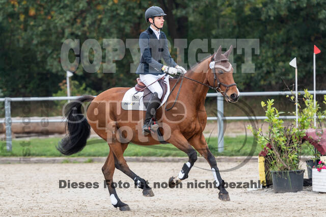 Goldene Schärpe 2020 - Pferde