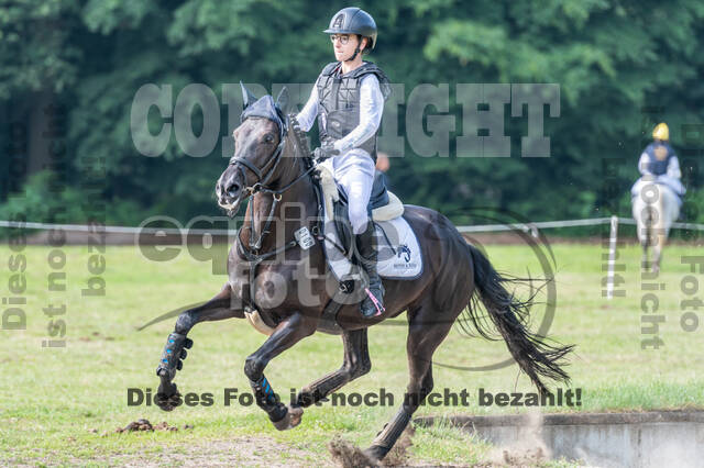 Goldene Schärpe 2021 - Ponys