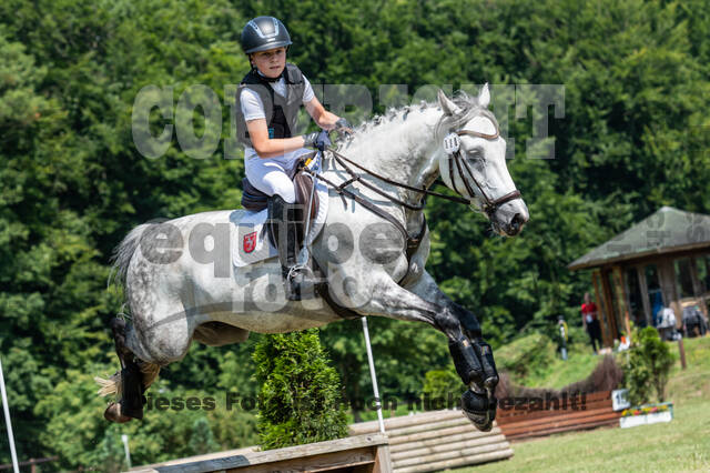 Goldene Schärpe 2021 - Ponys