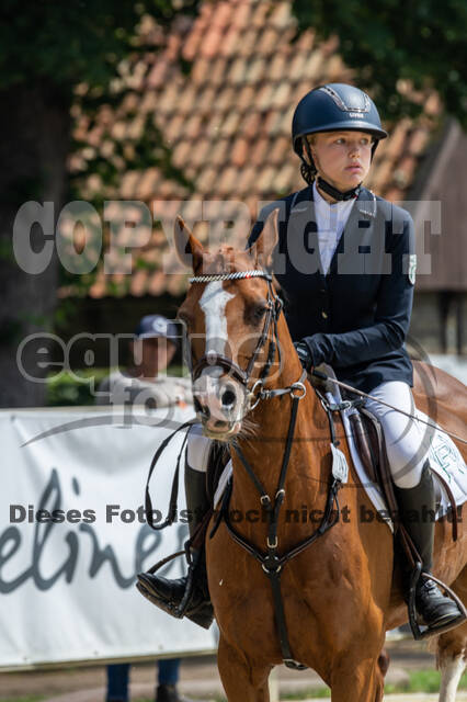 Goldene Schärpe 2021 - Ponys