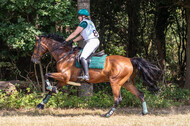 Late-Entry Vielseitigkeit Hamminkeln/Wesel (01.+02.08.2020)