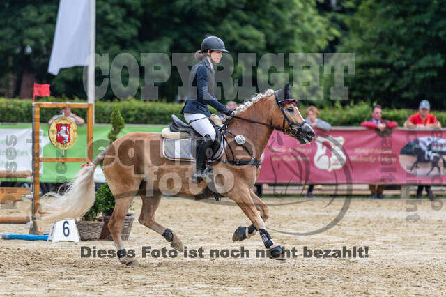 Goldene Schärpe 2021 - Ponys