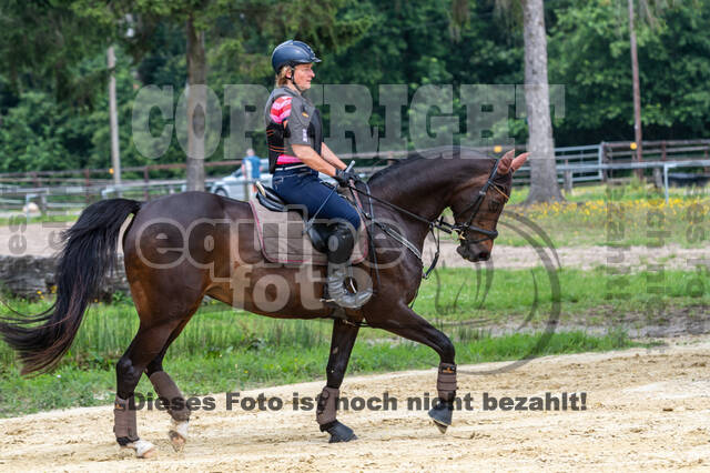 Hunter Geländetraining 10.07.2021 (Sonsbeck)