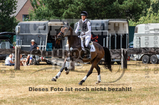 Late-Entry Vielseitigkeit Hamminkeln/Wesel (01.+02.08.2020)