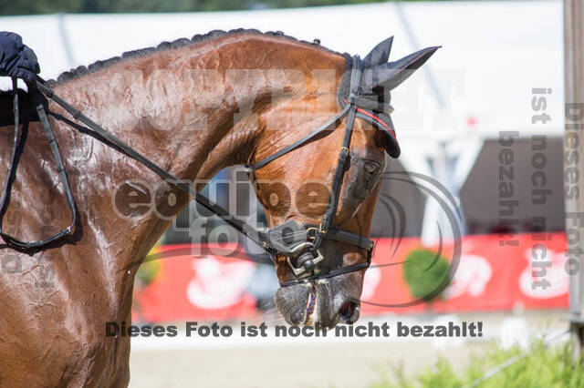FEI European Championship Eventing 2017