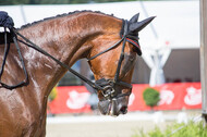FEI European Championship Eventing 2017