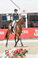 FEI European Championship Eventing 2017