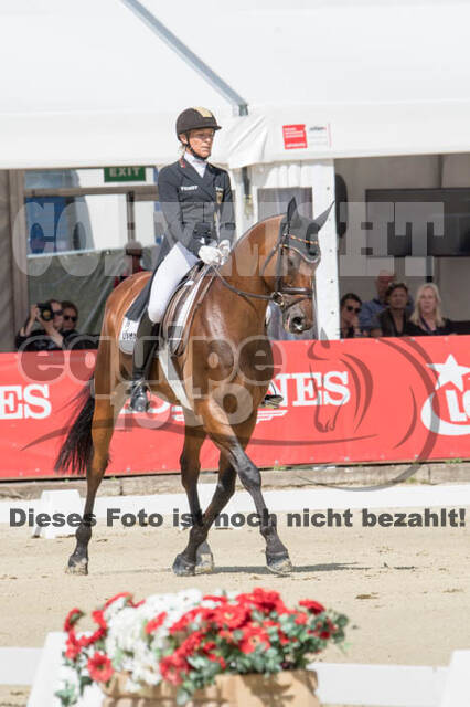 FEI European Championship Eventing 2017