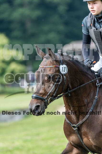 Goldene Schärpe 2021 - Ponys