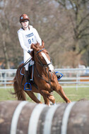 Eventing Langenfeld 2018