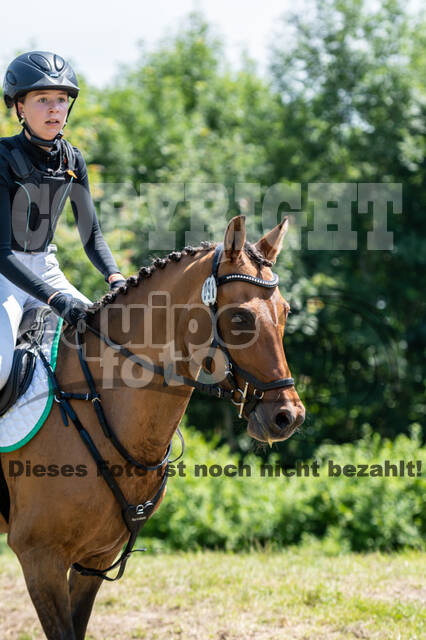 Goldene Schärpe 2021 - Ponys