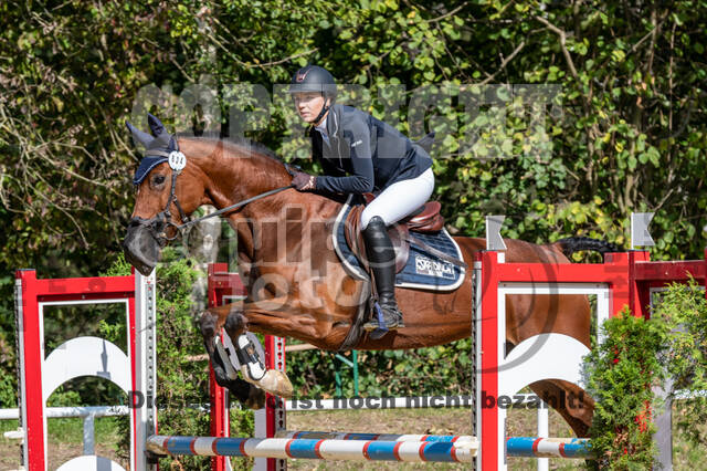 RFV Dinslaken-Hiesfeld (Herbstturnier)