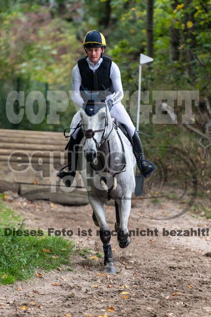 Goldene Schärpe 2020 - Pferde