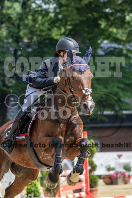 Goldene Schärpe 2021 - Ponys