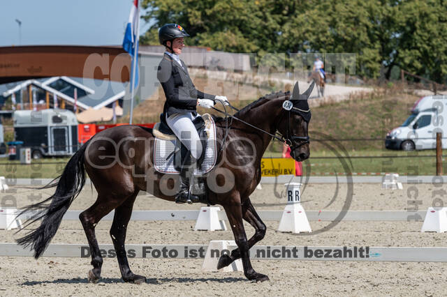 Kronenberg - De Peelbergen (August 2020)