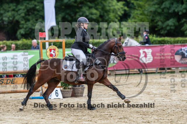 Goldene Schärpe 2021 - Ponys