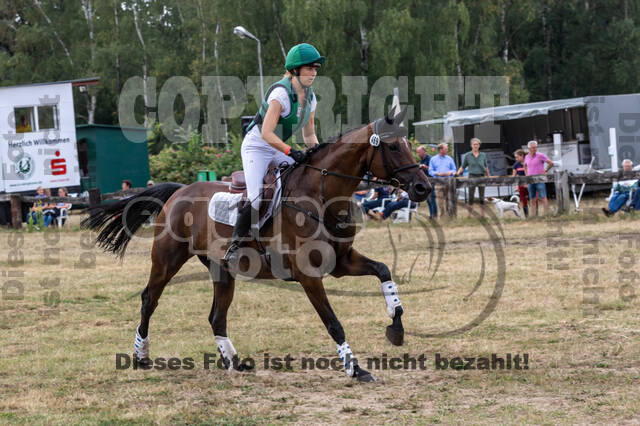 Late-Entry Vielseitigkeit Hamminkeln/Wesel (01.+02.08.2020)