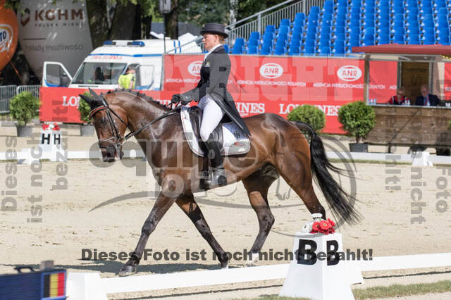 FEI European Championship Eventing 2017