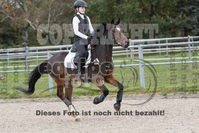 IGV Lehrgang der Sieger der Cups mit Frank Ostholt