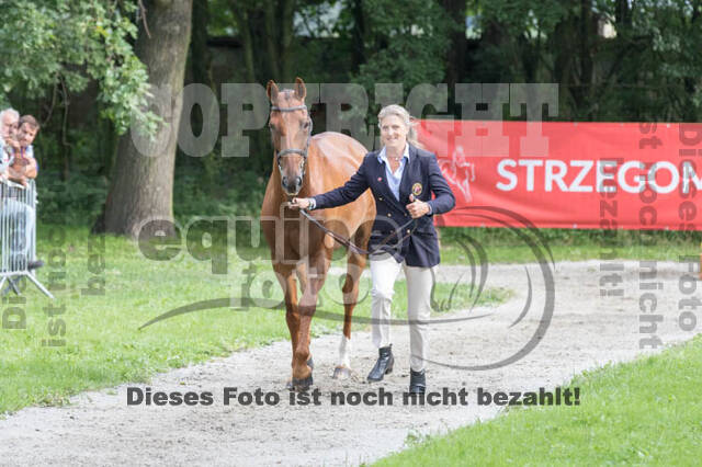FEI European Championship Eventing 2017