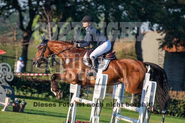 De Peelbergen (August 2020)