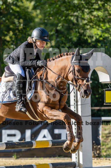 RFV Dinslaken-Hiesfeld (Herbstturnier)