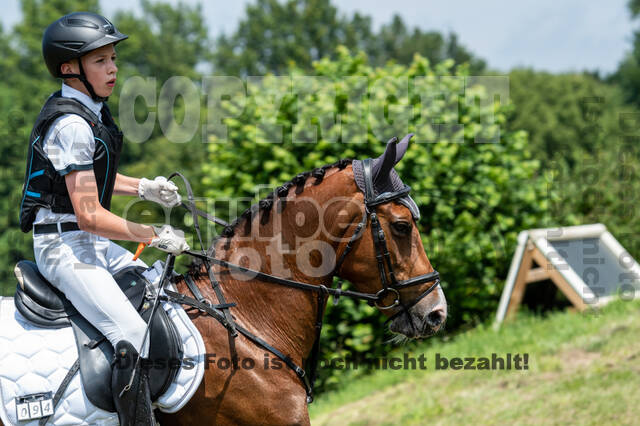 Goldene Schärpe 2021 - Ponys