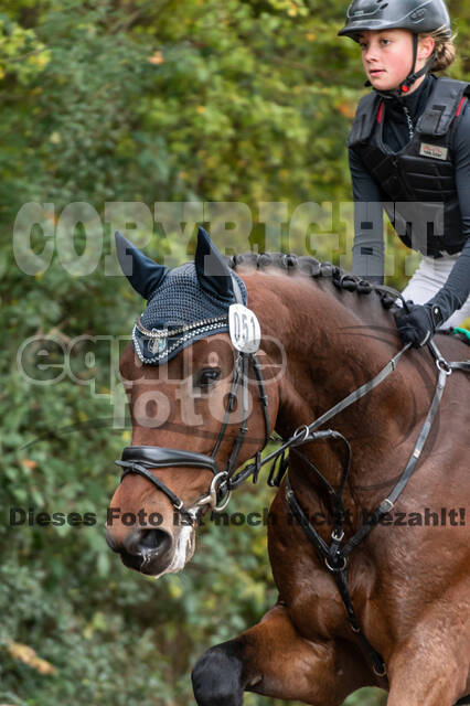 Goldene Schärpe 2020 - Pferde