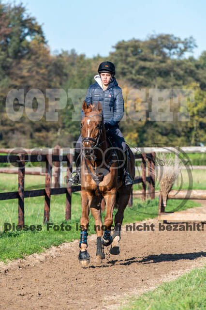 Vielseitigkeitslehrgang mit Jürg Kurbel (9.+10.11.2019)