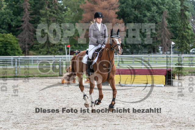 Late-Entry-Vielseitigkeit Langenfeld (06.+07.07.2020)