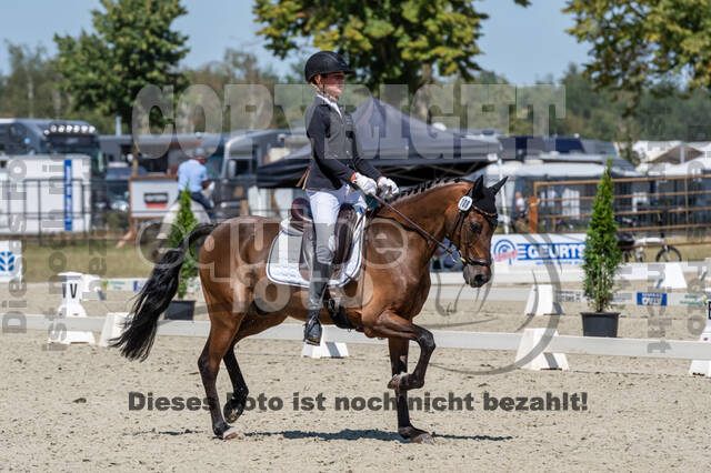 Kronenberg - De Peelbergen (August 2020)