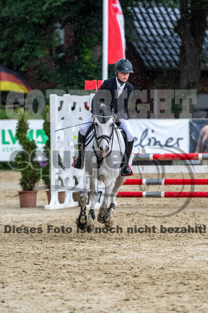Goldene Schärpe 2021 - Ponys