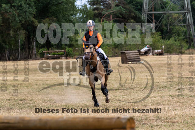 Late-Entry Vielseitigkeit Hamminkeln/Wesel (01.+02.08.2020)