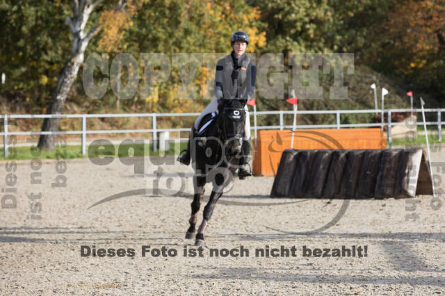 IGV Lehrgang der Sieger der Cups mit Frank Ostholt