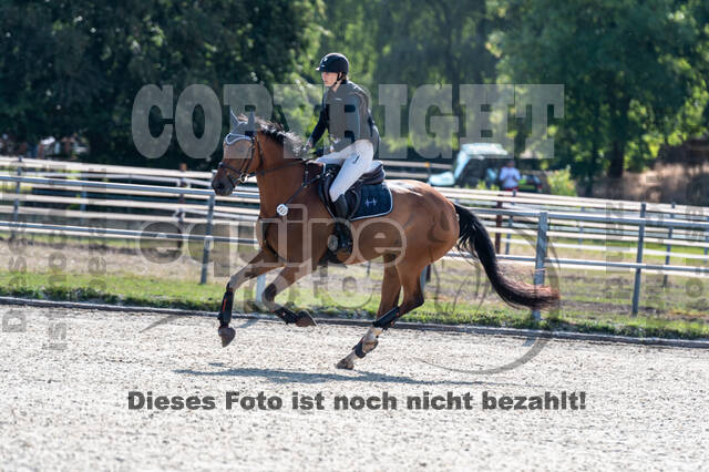 Late-Entry-Vielseitigkeit Langenfeld (11.+13./14.06.2020)