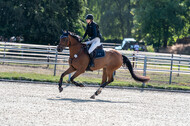 Late-Entry-Vielseitigkeit Langenfeld (11.+13./14.06.2020)